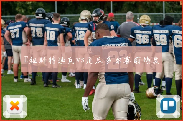 E组科特迪瓦vs厄瓜多尔赛前热度