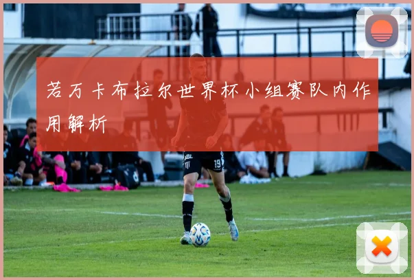 若万卡布拉尔世界杯小组赛队内作用解析