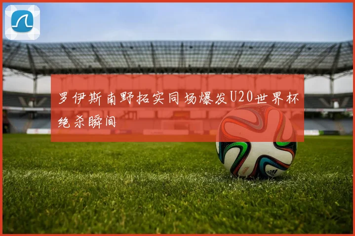 罗伊斯南野拓实同场爆发U20世界杯绝杀瞬间