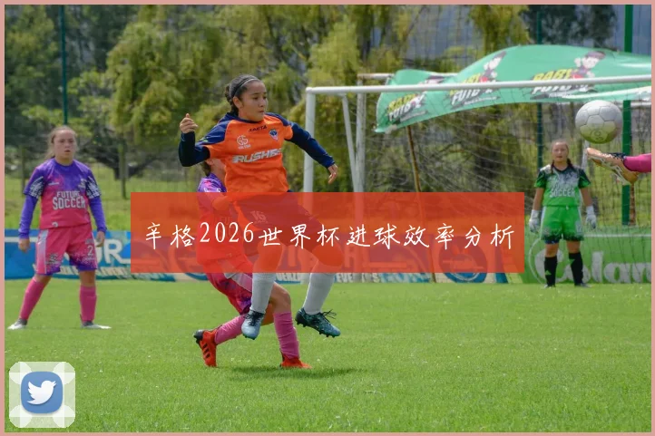 辛格2026世界杯进球效率分析