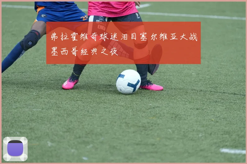 弗拉霍维奇球迷泪目塞尔维亚大战墨西哥经典之夜