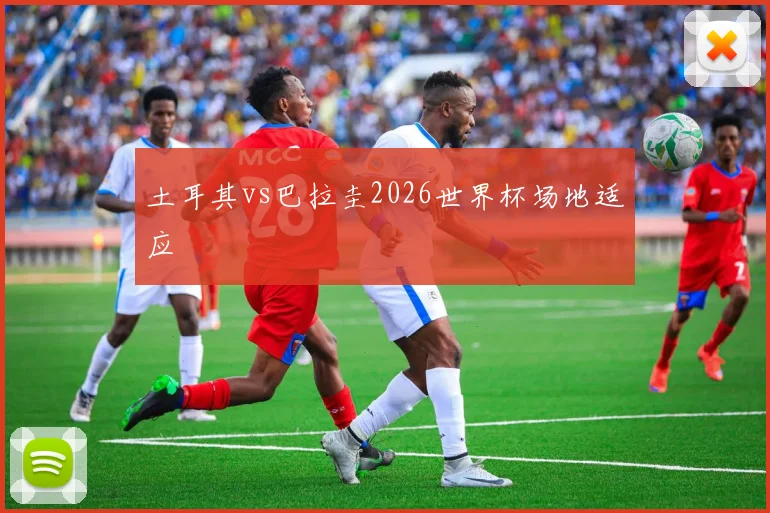 土耳其vs巴拉圭2026世界杯场地适应