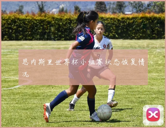 恩内斯里世界杯小组赛状态恢复情况